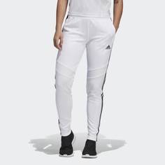 Брюки TIRO19 PNTW adidas Performance