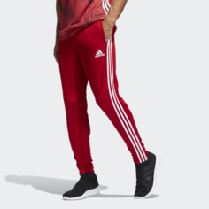 Брюки TIRO19 PNT adidas Performance