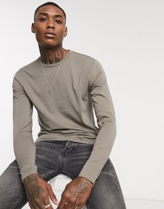 Серый лонгслив с логотипом AllSaints