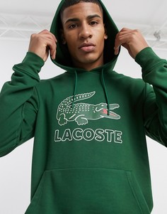 Свитшот с круглым вырезом Lacoste-Зеленый