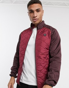Разноцветная стеганая куртка Jack & Jones Core-Фиолетовый