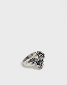 Серебристое кольцо с черепом и змеей Reclaimed Vintage inspired эксклюзивно для ASOS-Серебряный