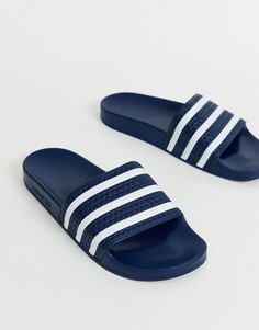 Темно-синие шлепанцы adidas Originals Adilette-Темно-синий