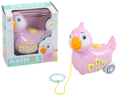 Каталка на веревочке "Попугайчик" Shenzhen Jingyitian Trade