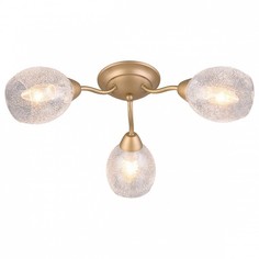 Потолочная люстра Omnilux Miglionico OML-55507-03