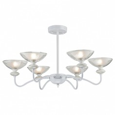 Подвесная люстра Arti Lampadari Fassano E 1.1.6 W