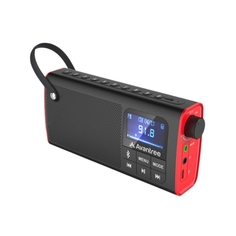 Радиоприемник Avantree SP850 Bluetooth динамик