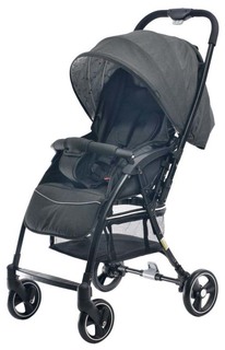 Коляска прогулочная Everflo "Daily E-510 black" (черный)