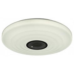 Накладной светильник Light Speaker 5878 Mantra