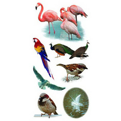 Наклейки Fancy Creative Птичье царство