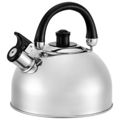 Webber Чайник со свистком BE-0526 2,5 л стальной