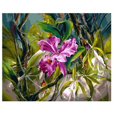 Molly Картина по номерам "Волшебный ирис" 40х50 см (KH0202)