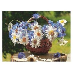 Molly Картина по номерам "Корзина полевых цветов" 15х20 см (KH0246)