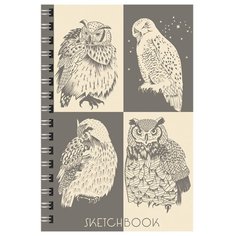 Скетчбук Канц-Эксмо Совы & филины 21 х 14.8 см (A5), 100 г/м², 100 л.