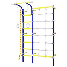 Спортивно-игровой комплекс ROMANA S3 синяя слива