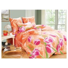Постельное белье евростандарт СайлиД A-131, поплин оранжевый/розовый