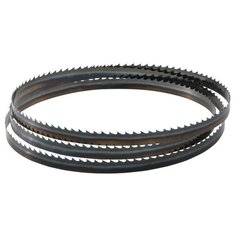 Пильная лента для ленточной пилы Metabo 0909060281