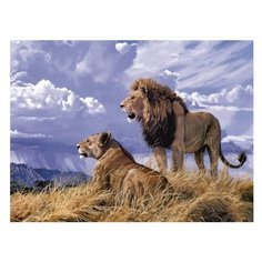 Color Kit Картина по номерам "Прайд" 30х40 см (KS031)