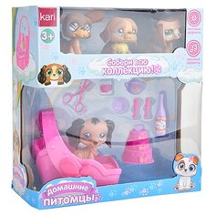 Игровой набор kari Домашние питомцы G780693-2
