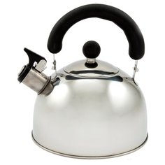 Добрыня Чайник DO-2903 2,5 л серебристый