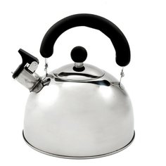 Добрыня Чайник DO-2902 3 л серебристый