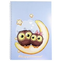 Фолиант Тетрадь для конспектов ТДК-10, клетка, 80 л. голубой Foliant