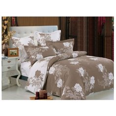 Постельное белье 2-спальное СайлиД B-141, сатин коричневый/белый