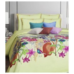 Постельное белье 1.5-спальное Mona Liza Malta 70х70 см, бязь зеленый