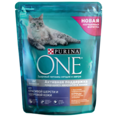 Корм для кошек Purina ONE для здоровья кожи и шерсти, для вывода шерсти, с курицей и с цельными злаками 750 г