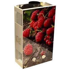 Проточный газовый водонагреватель Wert 10EG Berry