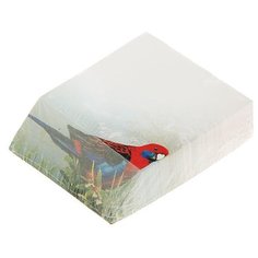 Фолиант Блок Попугай 90х110 мм, 300 шт. (БКД-300С/4) белый Foliant