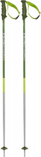 Палки горнолыжные Volkl Phantastick 2