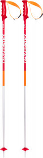 Палки горнолыжные Volkl Phantastick 2