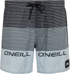 Шорты пляжные мужские ONeill Hm Sunstroke, размер 54-56 O`Neill