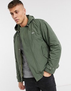 Куртка с капюшоном Lacoste-Зеленый