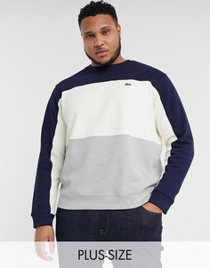 Свитшот с круглым вырезом Lacoste PLUS-Синий