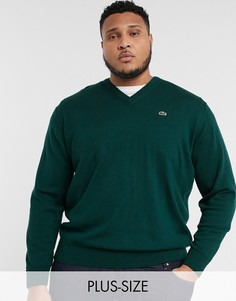 Джемпер с V-образным вырезом Lacoste PLUS-Зеленый