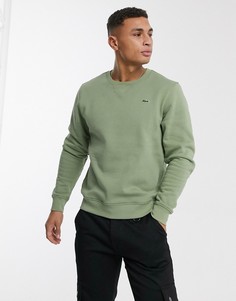 Свитшот с круглым вырезом Lacoste-Зеленый
