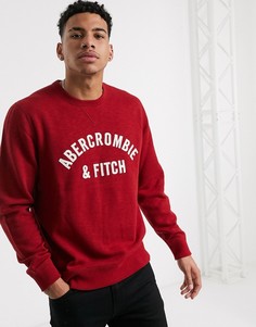 Красный свитшот с круглым вырезом и логотипом Abercrombie & Fitch