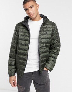 Двусторонняя дутая куртка с капюшоном синего и зеленого цвета Polo Ralph Lauren-Темно-синий