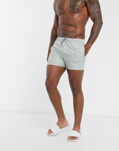 Светло-серые короткие шорты для плавания ASOS DESIGN-Серый