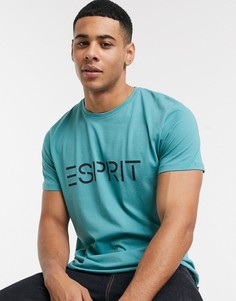 Бирюзовая футболка с логотипом Esprit-Зеленый