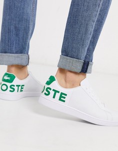 Зеленые кроссовки с логотипом Lacoste carnaby evo-Белый