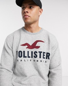 Серый свитшот с круглым вырезом и логотипом Hollister