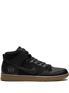 Nike кроссовки SB Zoom Dunk High Pro
