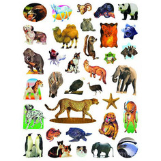 Наклейки Fancy Creative Удивительный мир