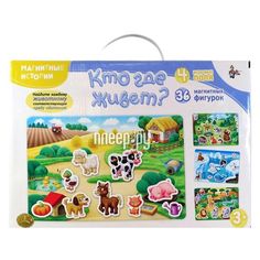 Обучающая игра Десятое Королевство Магнитные истории «Кто где живет?»