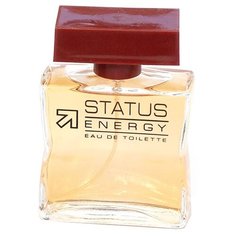 Туалетная вода Festiva Status Energy, 100 мл
