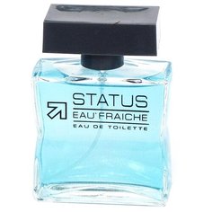 Туалетная вода Festiva Status Eau Fraiche, 100 мл