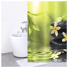 Штора для ванной IDDIS 680P18Ri11 180x200 зеленый/черный